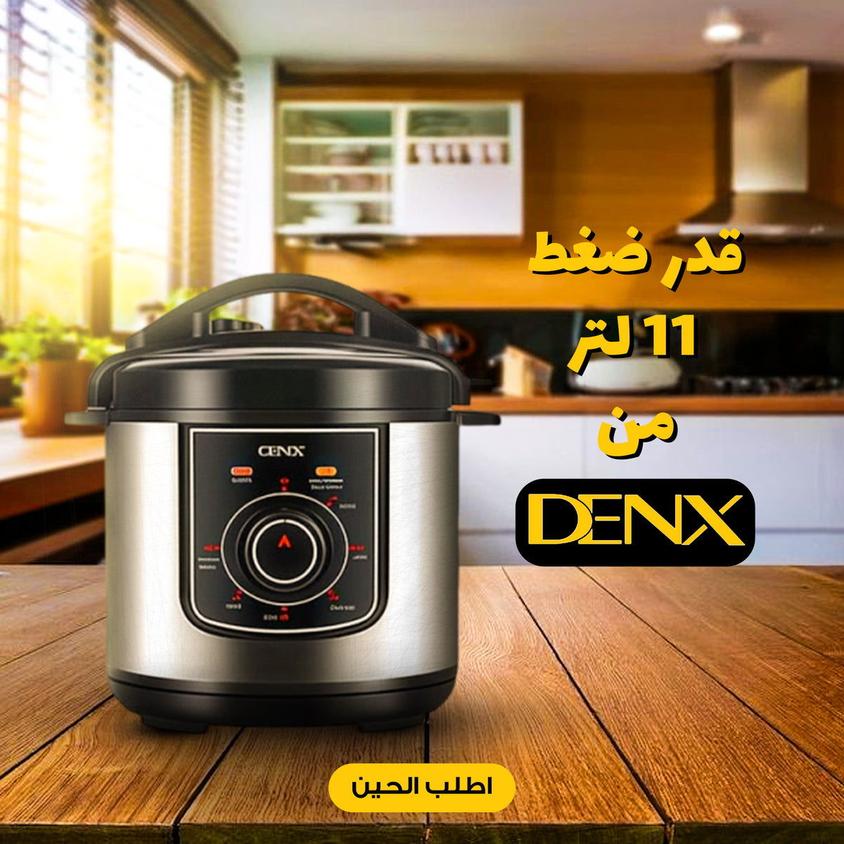 قدر ضغط DX3401