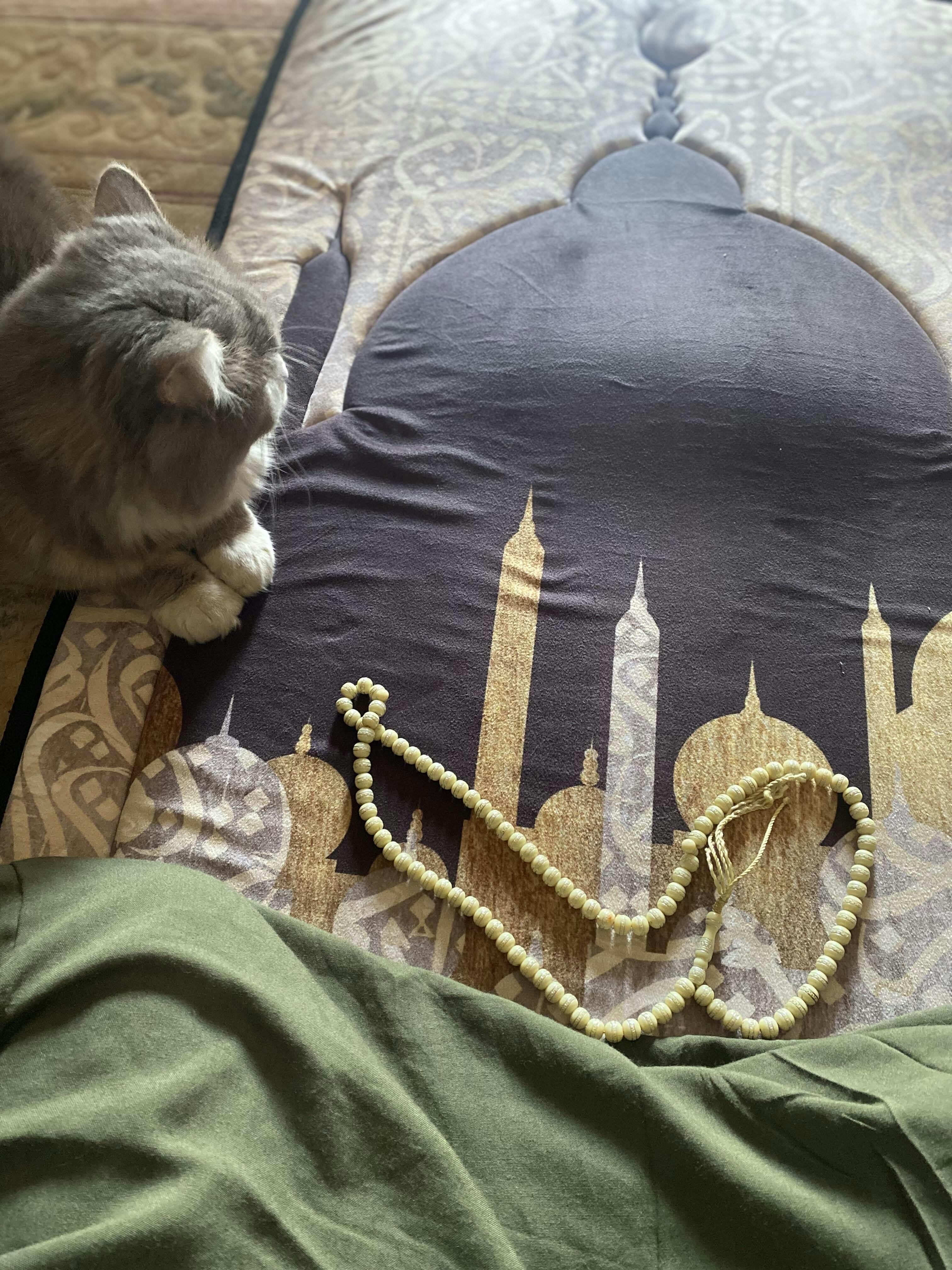 مصلية مبطنة مانعة للانزلاق كبيرة