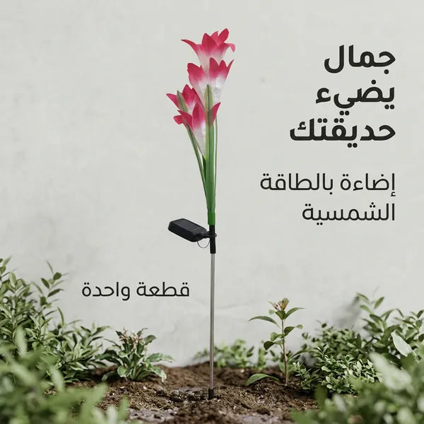 زهور زينة بالطاقة الشمسية تضيء