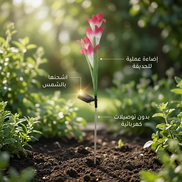 زهور زينة بالطاقة الشمسية تضيء