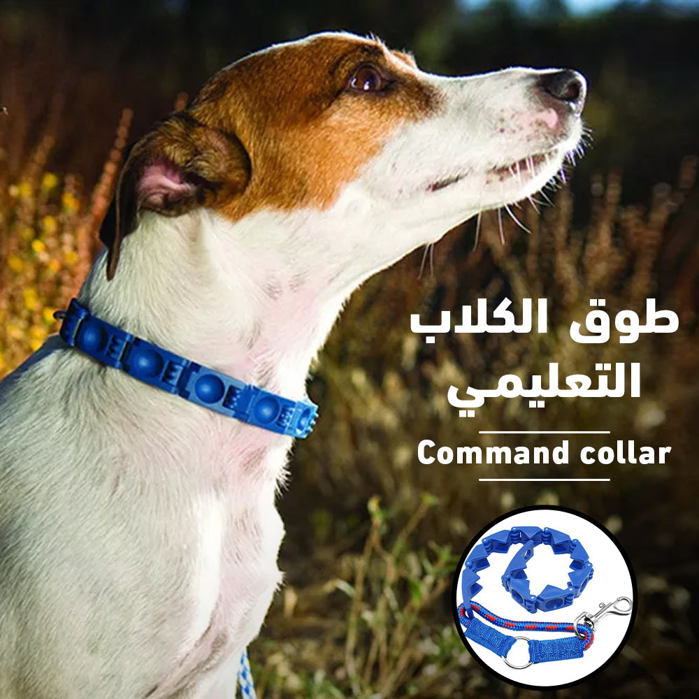 طوق تدريب الكلاب للسيطرة والتحكم | قابل للتعديل ومتين