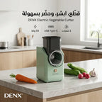 قطاعه خضروات كهرباء