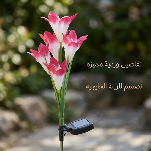 زهور زينة بالطاقة الشمسية تضيء